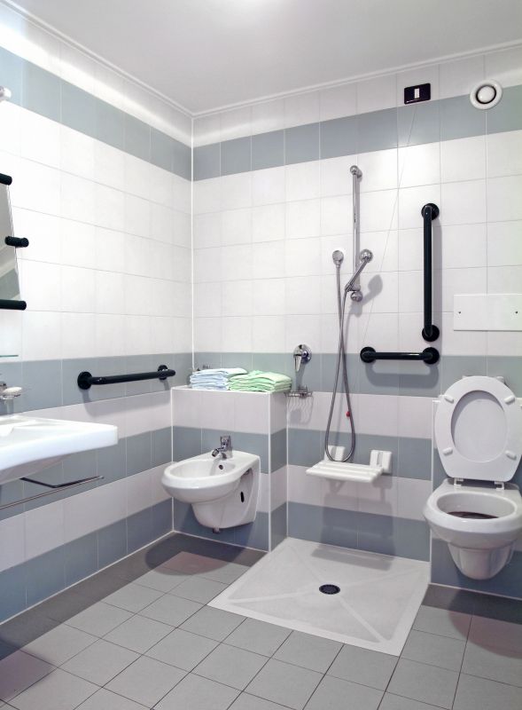 Accessible Bathroom detail